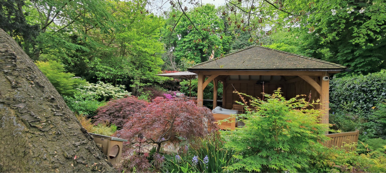Professional zen garden design with stone pathway and Japanese maple trees - example of RG Garden Design garden design work in East London